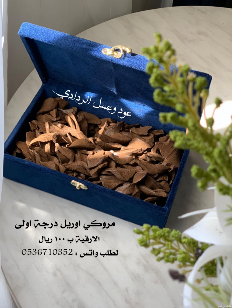 عود مروكي اوريل درجة اولى