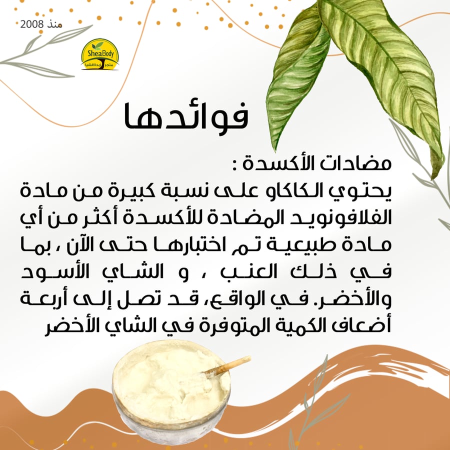 فوائد زبدة الكاكاو الخام