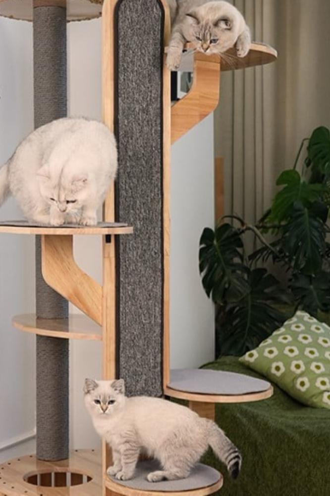 Large multi-level cat tree (vertical design made of hardwood)