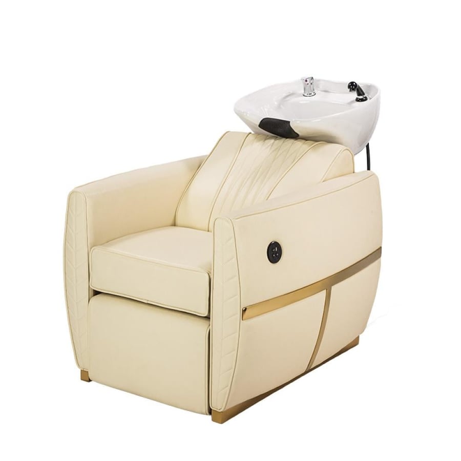 Professional salon chair