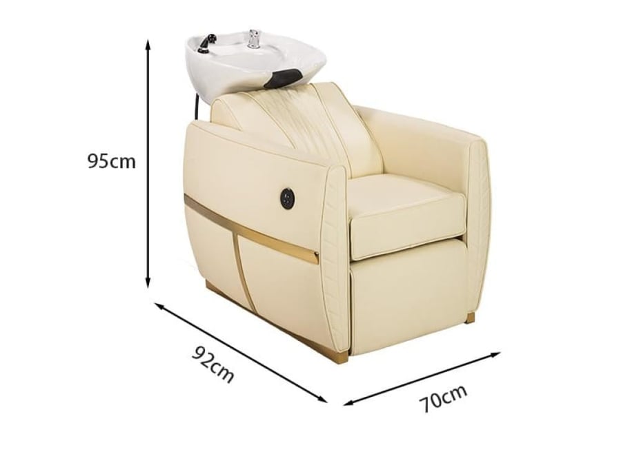 Professional salon chair