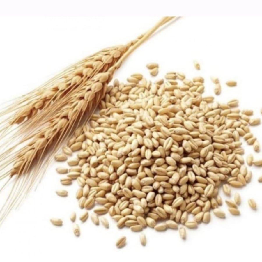 Harithi Harisa 750 g