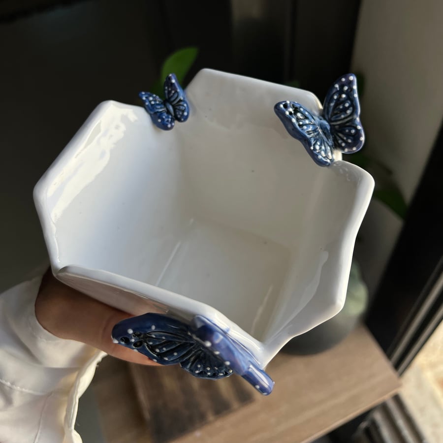 Noodles box كوليكشن الفراشات