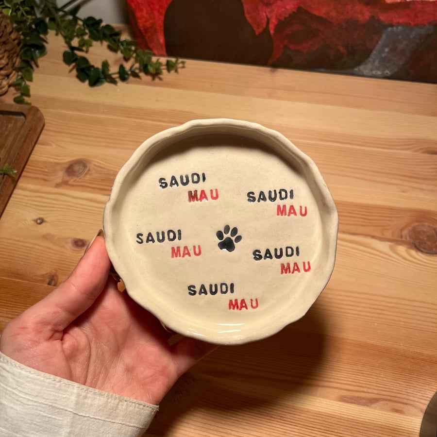 صحن SAUDI MAU