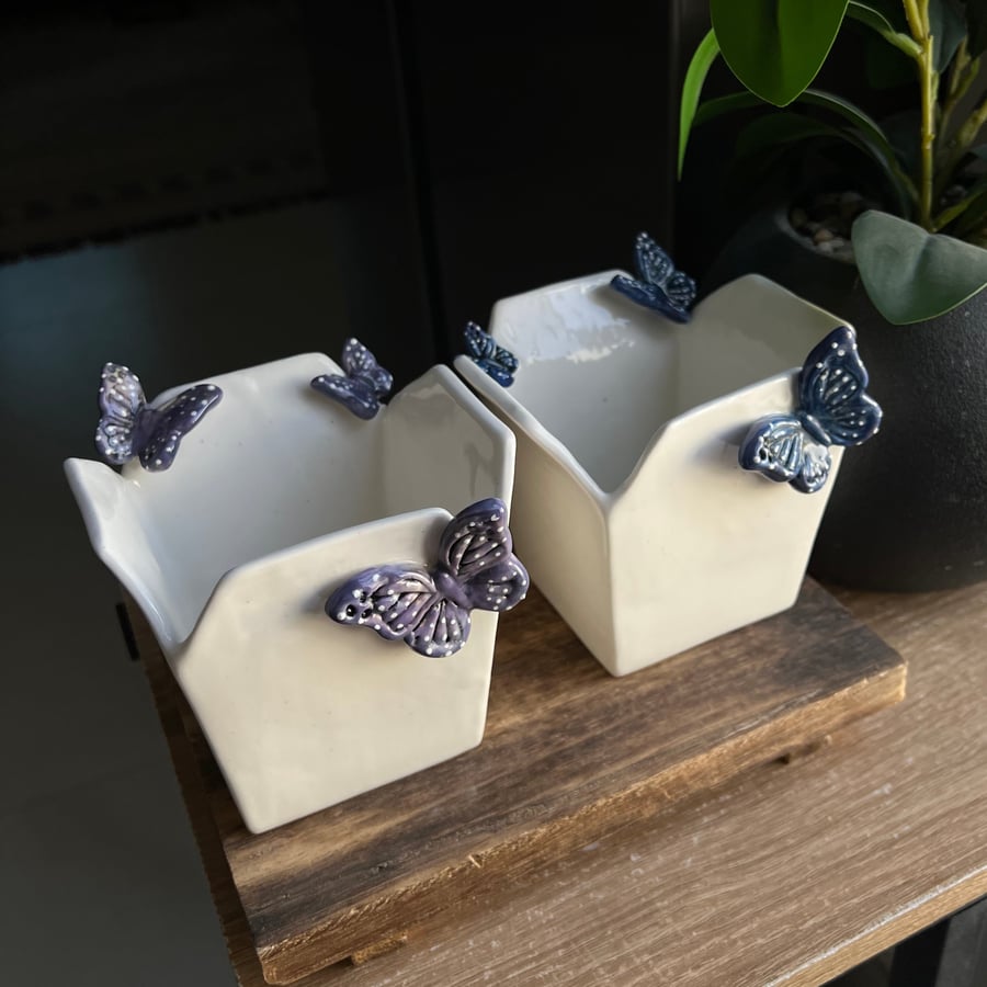 Noodles box كوليكشن الفراشات