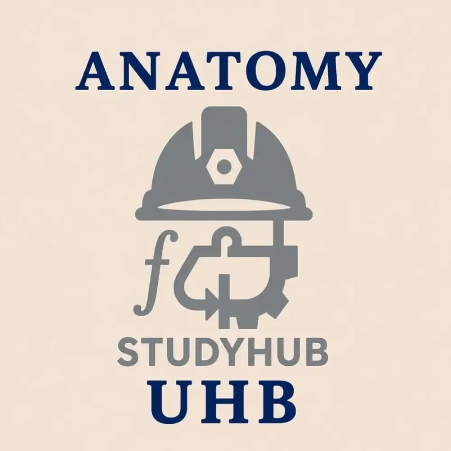 UHB - Anatomy