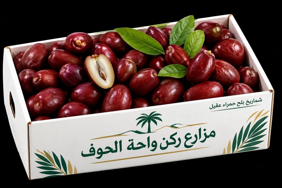 بلح حمراء عقيل (شماريخ كرتون Large )