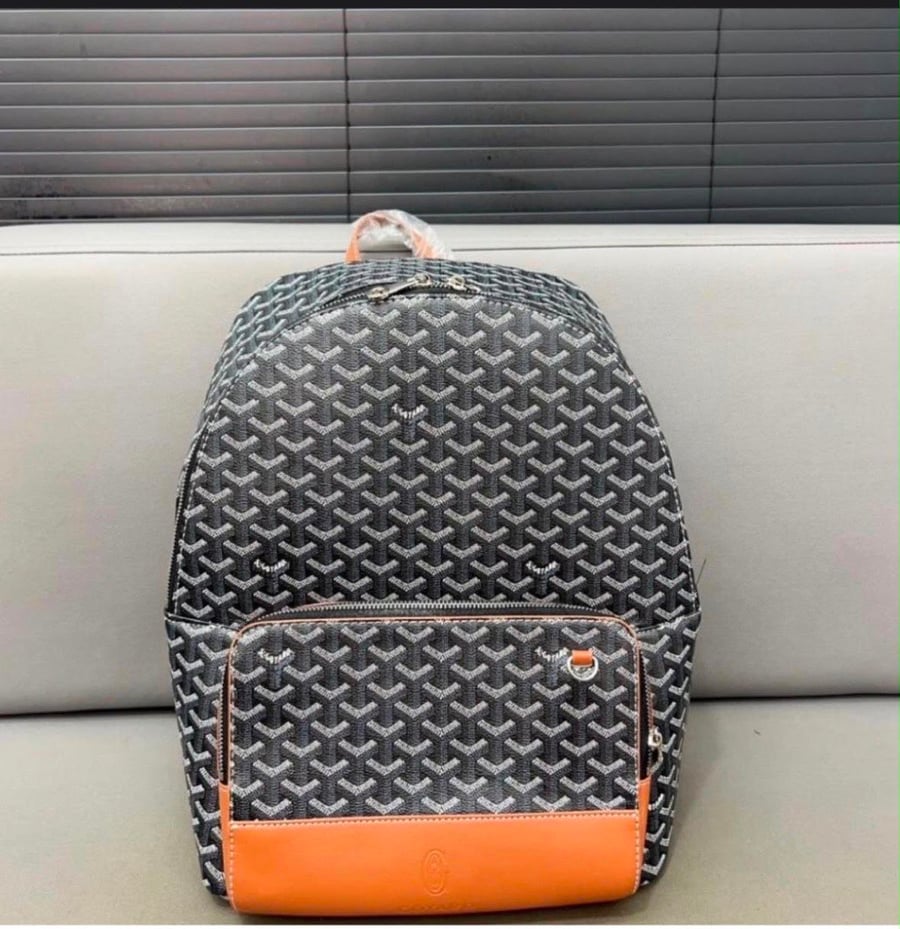 Goyard back bag