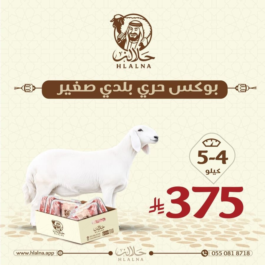 بوكس حري بلدي صغير