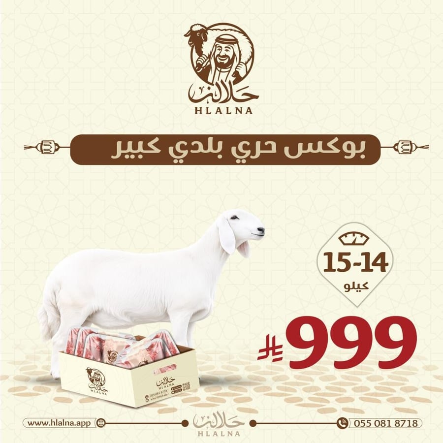 بوكس حري بلدي كبير