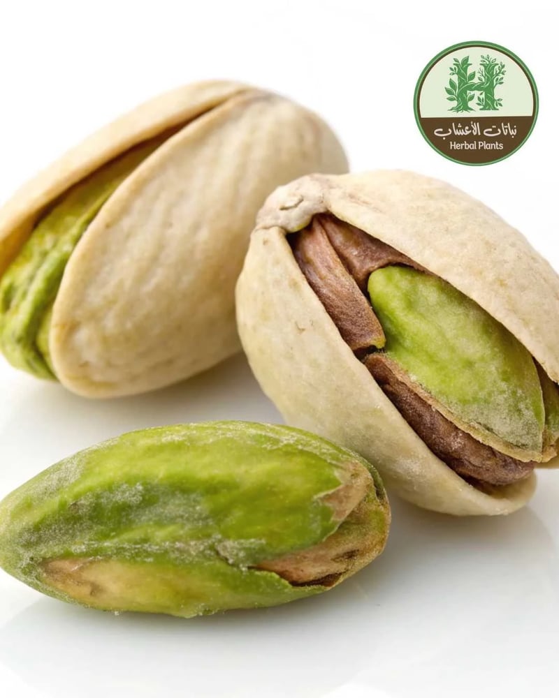 فستق حلبي