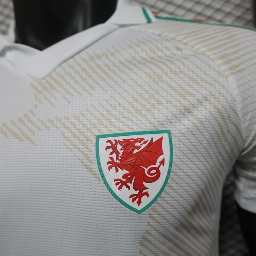 تيشيرت منتخب ويلز الإحتياطي 2026