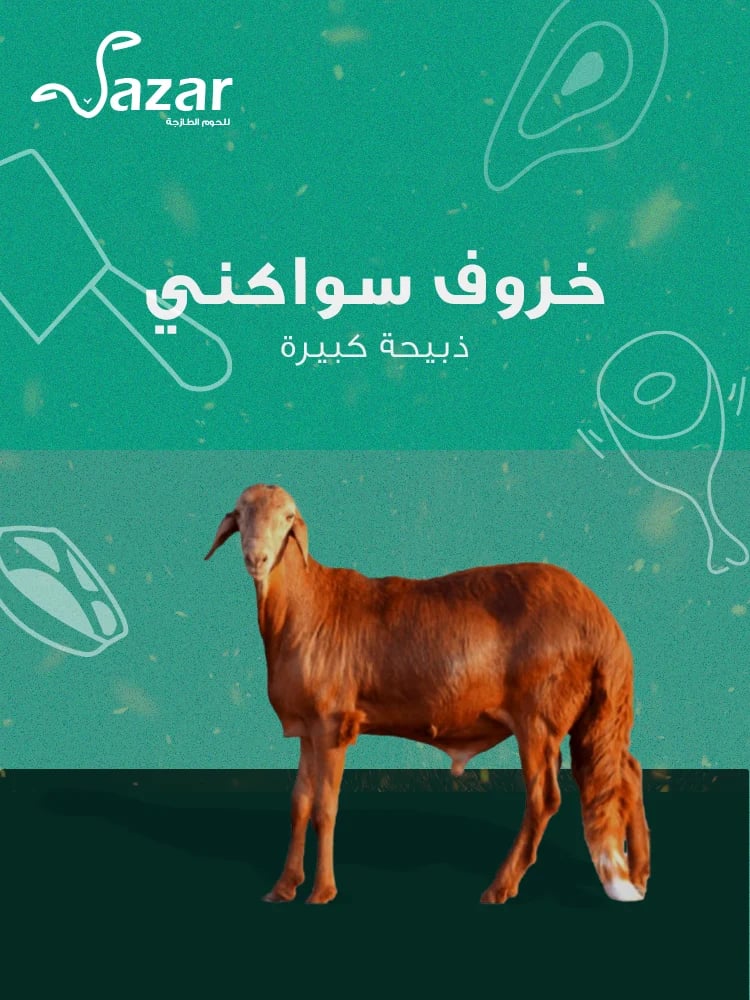 ذبيحة سواكني طازج (كبيرة)