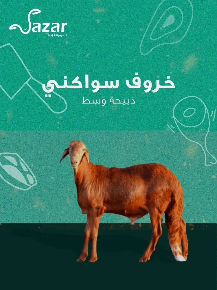 ذبيحة سواكني طازج (وسط)
