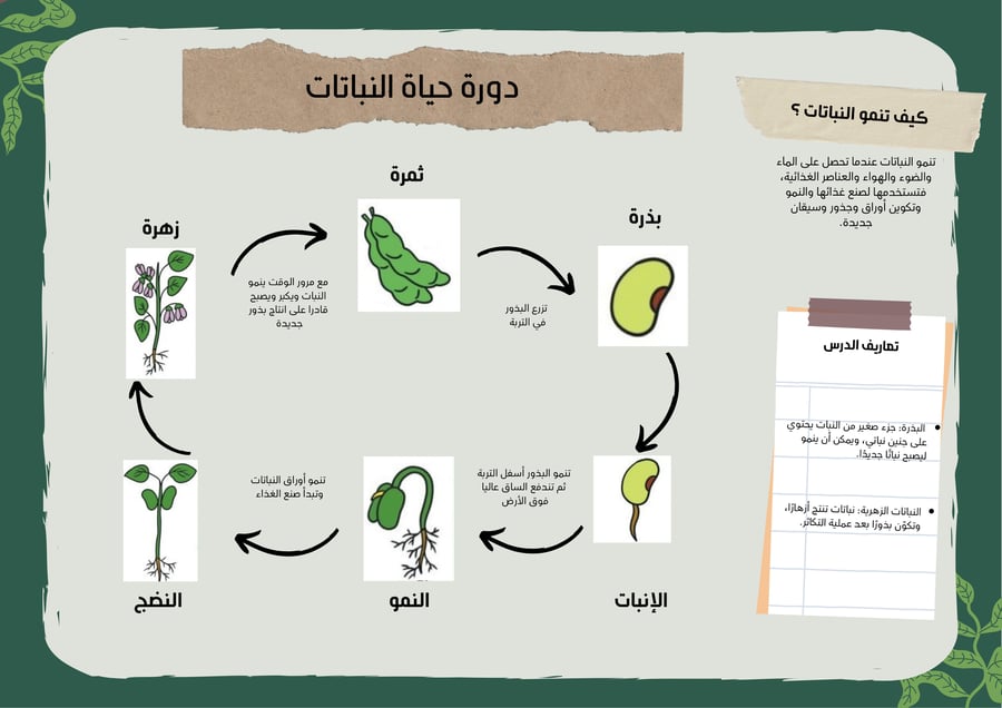 علوم ثالث ابتدائي الفصل الثاني