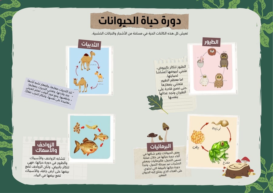 علوم ثالث ابتدائي الفصل الثاني