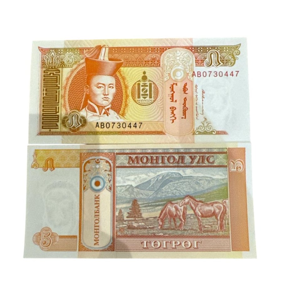 عملة منغوليا