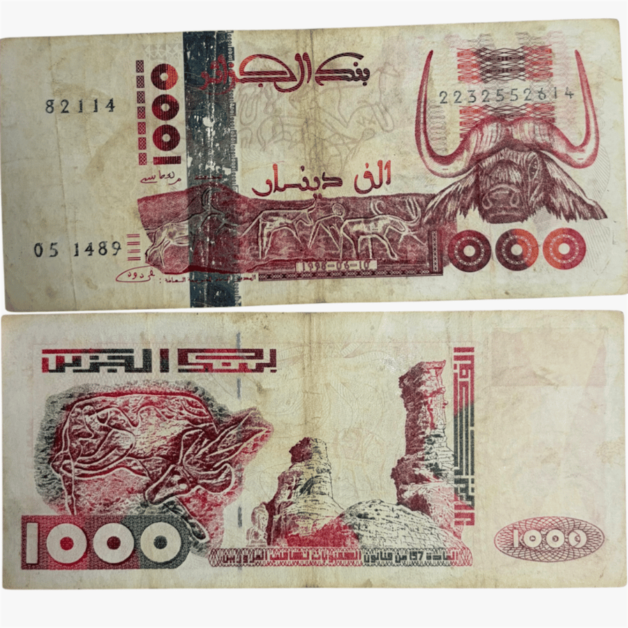عملة الجزائر 1998 م بتصميم جميل جدا