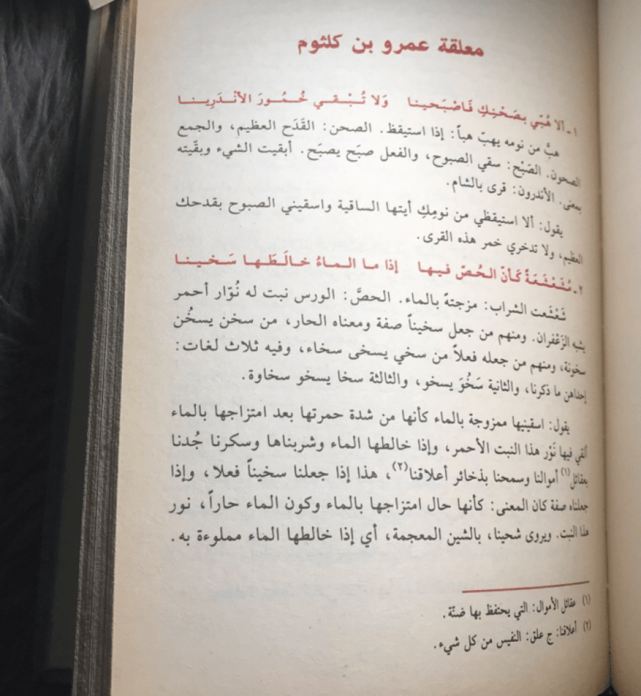 شرح المعلقات السبع