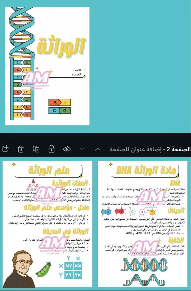 مطوية الوراثة ثالث متوسط