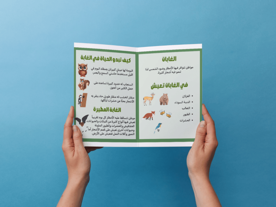 مطوية الغابات ثاني إبتدائي