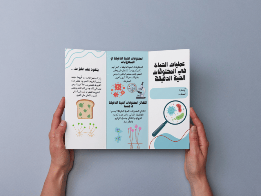 مطوية عمليات الحياة في المخلوقات الحية الدقيقة سادس إبتدائي