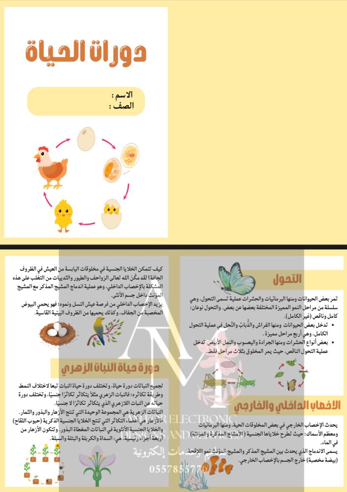 مطوية دورات الحياة خامس إبتدائي