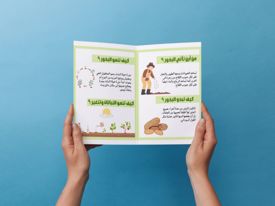 مطوية النباتات تنتج نباتات جديدة ثاني إبتدائي