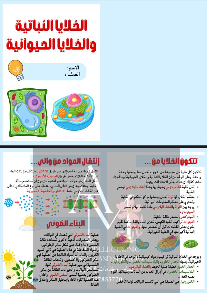 مطوية الخلية النباتية والخلية الحيوانية سادس إبتدائي