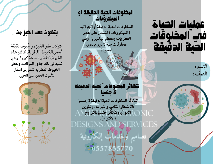 مطوية عمليات الحياة في المخلوقات الحية الدقيقة سادس إبتدائي