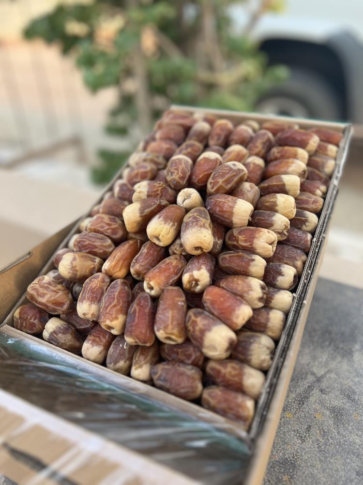 تمر صقعي فاخر