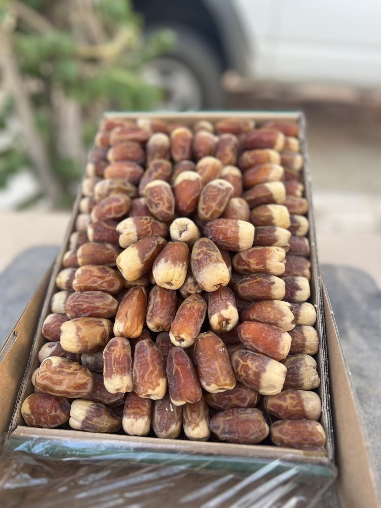 تمر صقعي فاخر