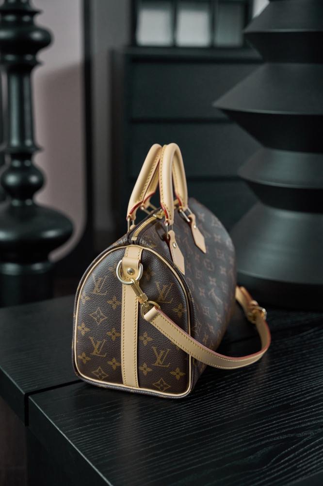 لوي فيتون Speedy 25