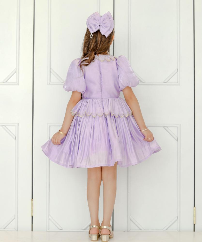 Elegant purple embroidered dress