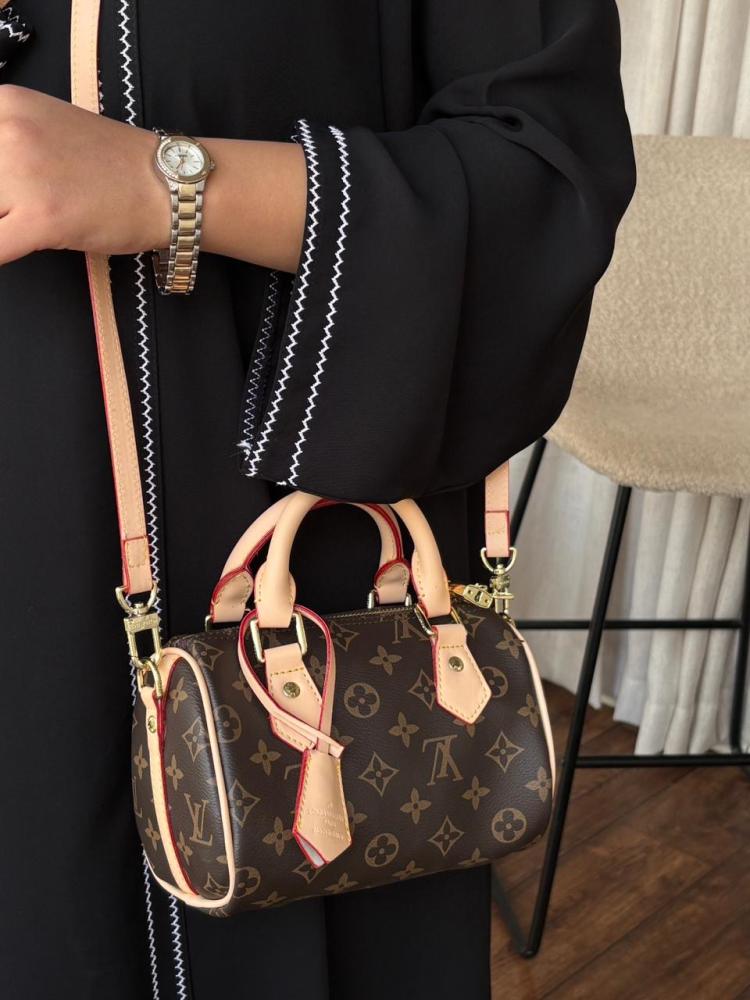 Louis Vuitton Speedy Nano bag