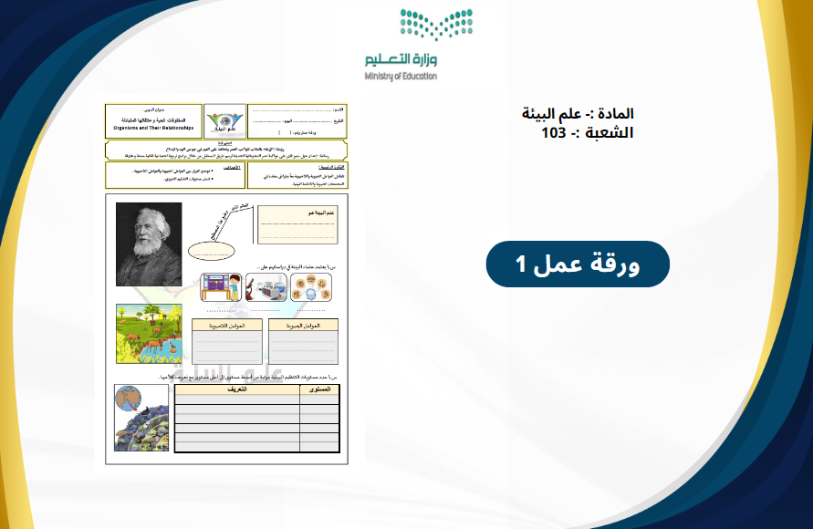 ملف انجاز معلم