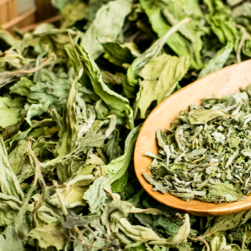 Artemisia paper