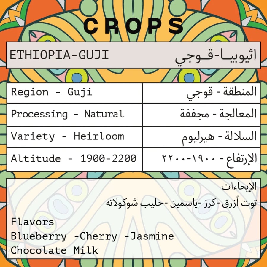 أثيوبيا قوجي