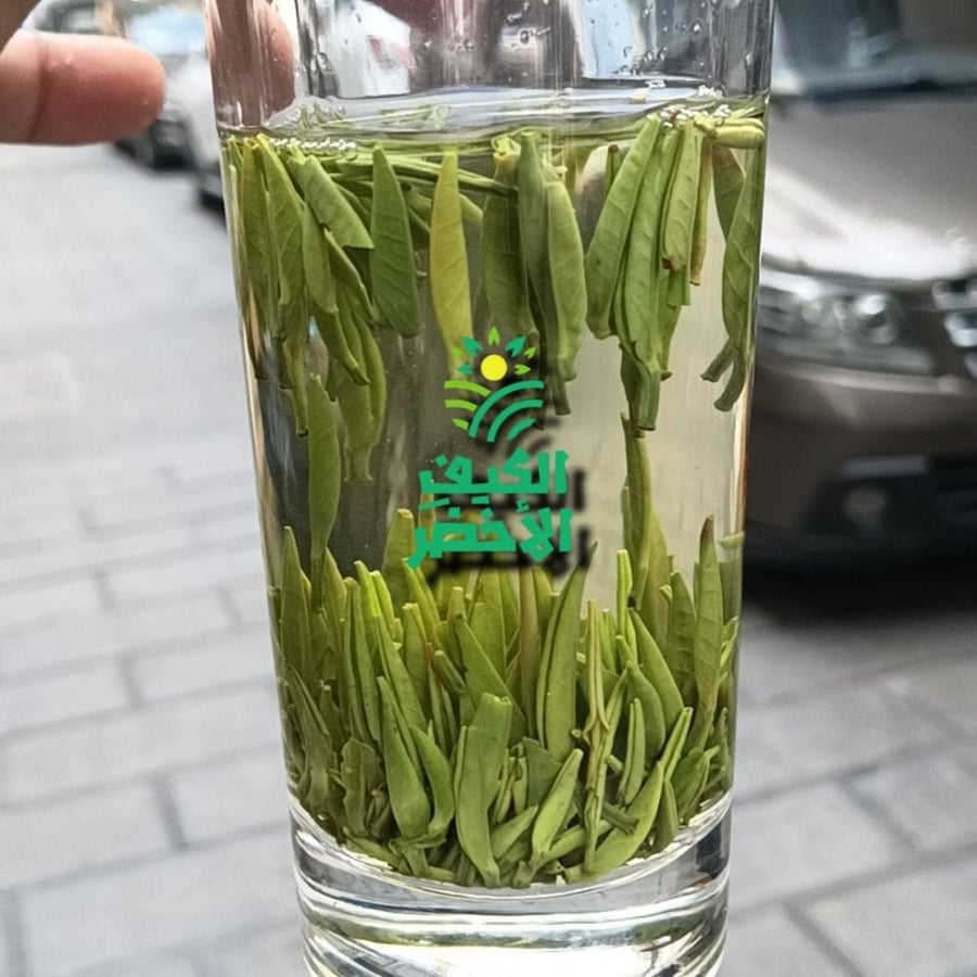 شاي التنين اخضر صيني ورق 40 جرام