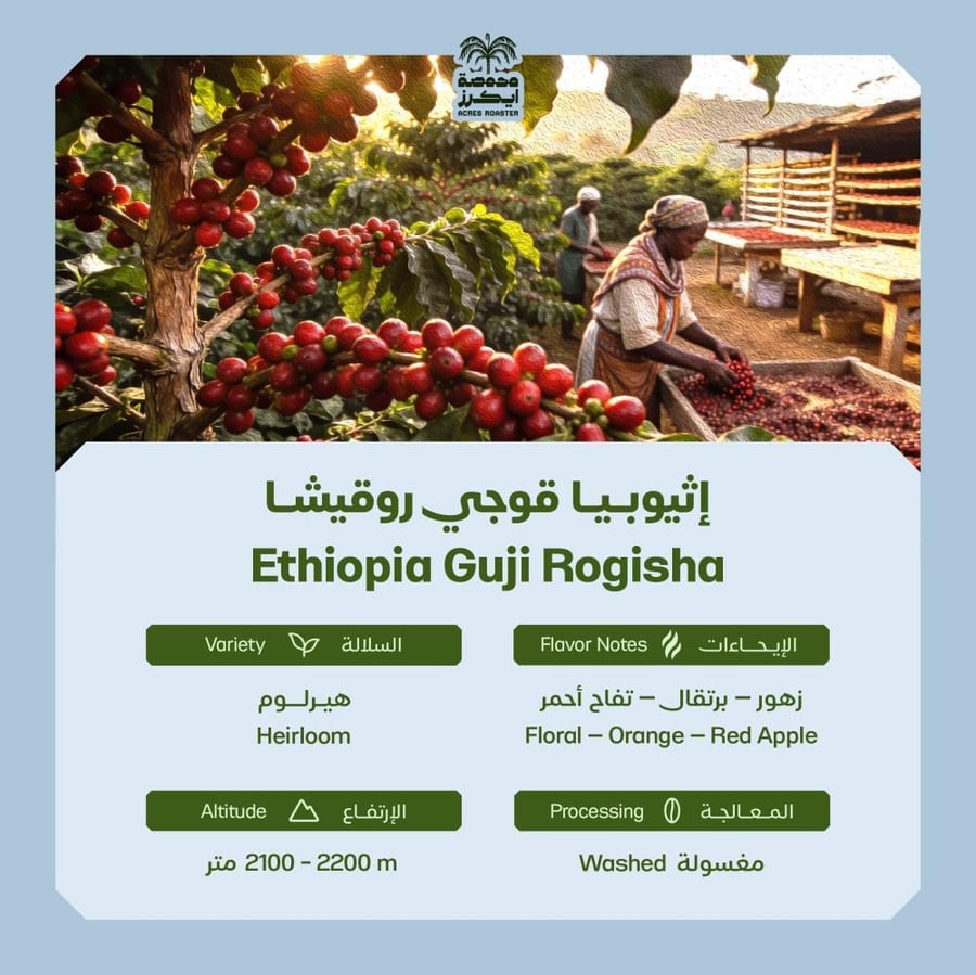 إثيوبيا قوجي روقيشا 250g