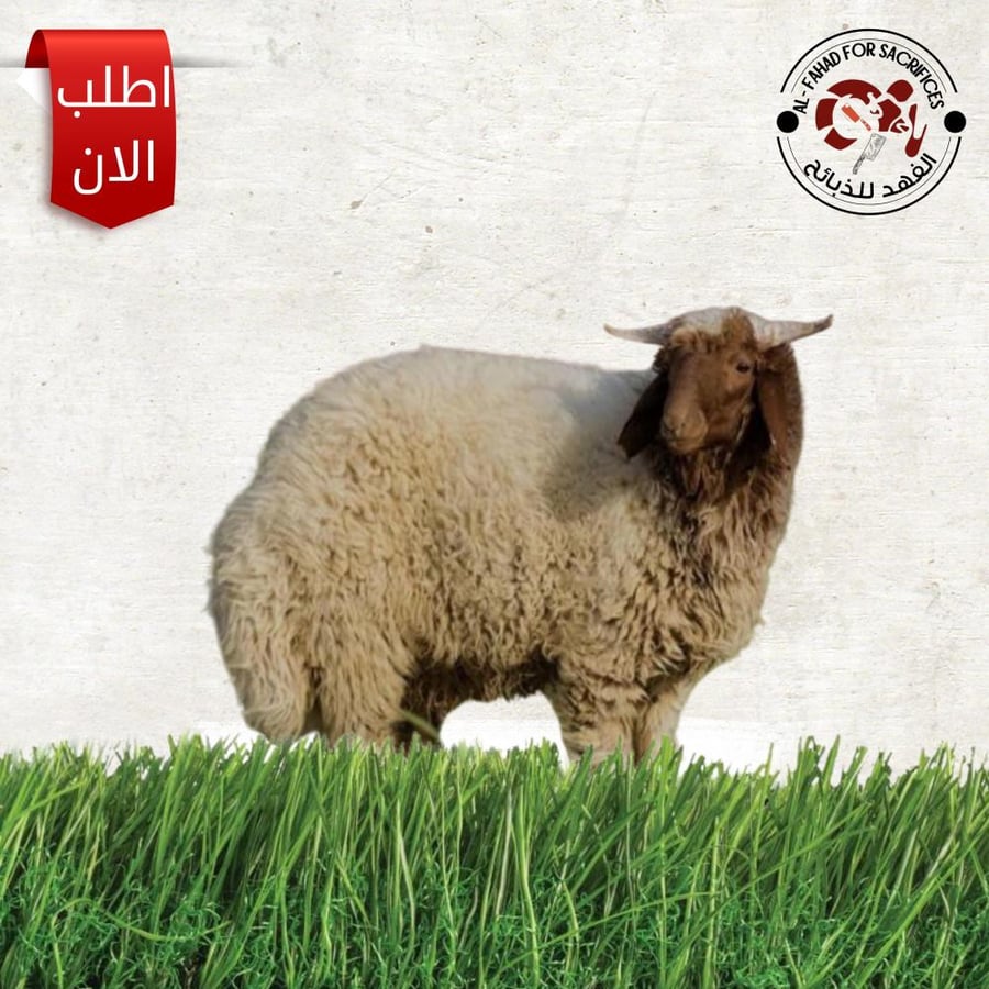 نصف نعيمي عند اكتمال الطرفين يعتمد