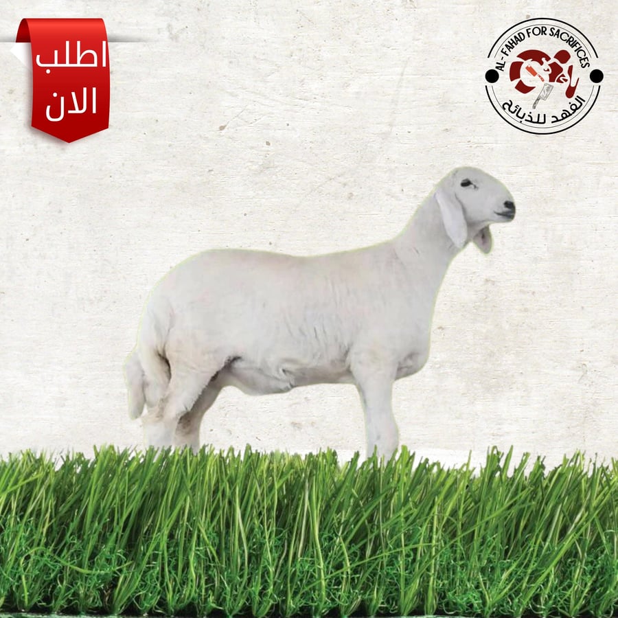 حري : خمس شهور