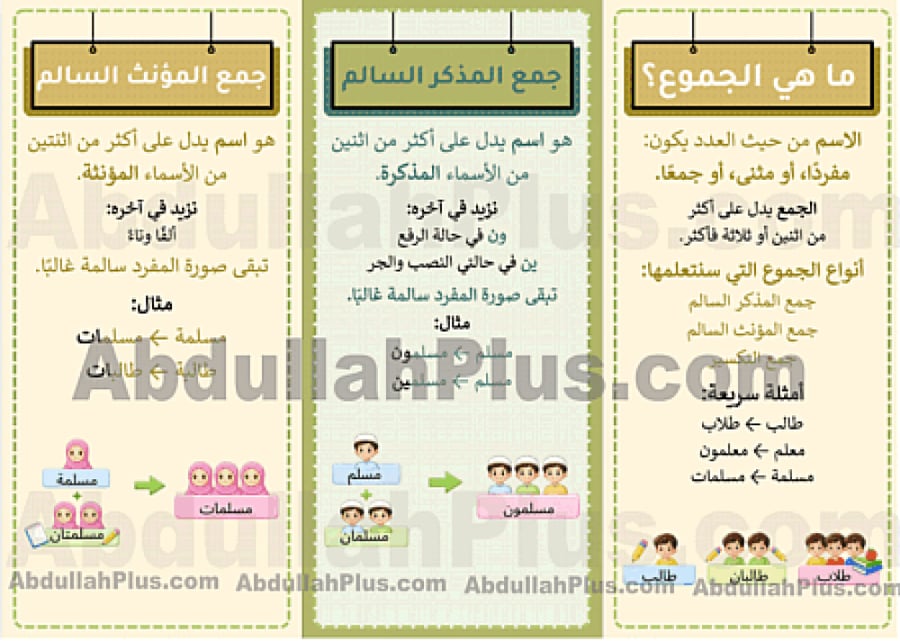 مطوية انواع الجموع - لغتي ب4 ف2 PDF