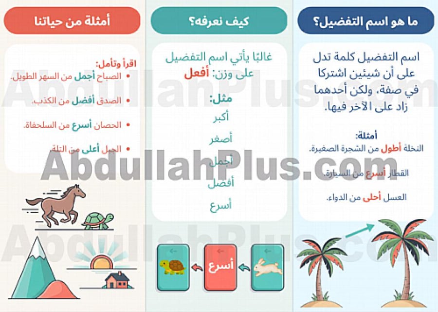 مطوية اسم التفضيل - لغتي PDF