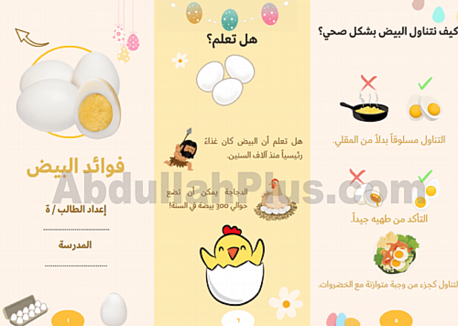 مطوية جاهزة للمرحلة الابتدائية عن البيض وفوائده