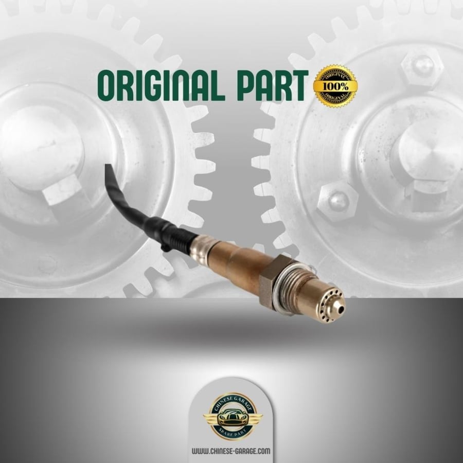 Oxygen sensor RX5