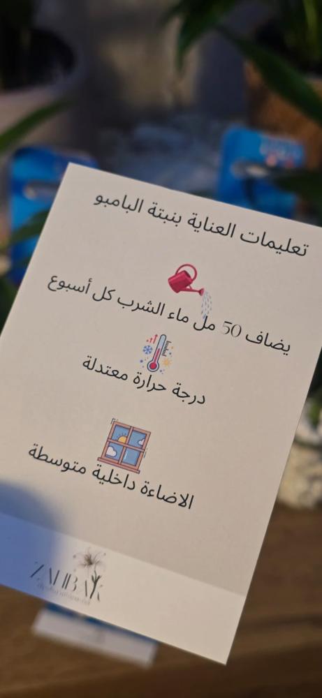 Package of 12 mini bamboo pieces with an elegant Ramadan holder and a special gift card and care instructions