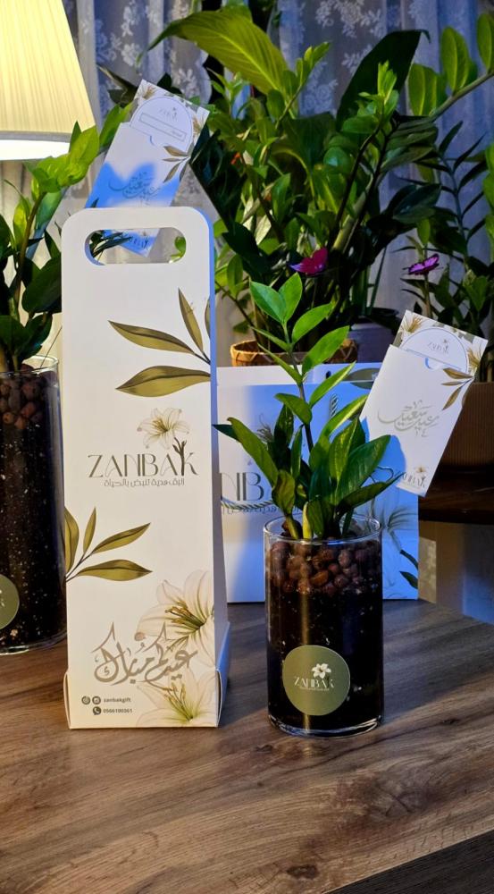 Zamia plant in a glass office container in the middle with chocolate Anoush