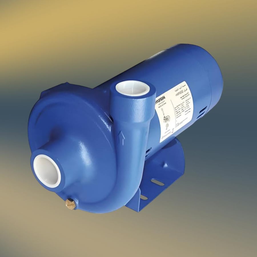 Hyundai pump, American model, 1.5 horsepower, 220 volts