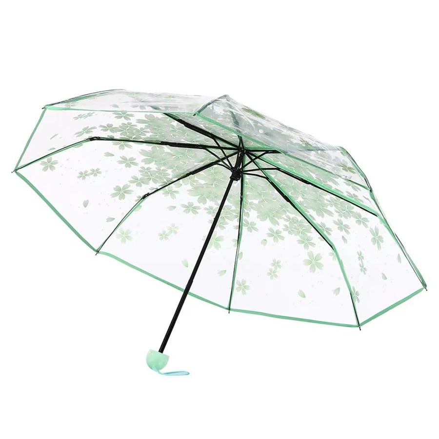 Sakura umbrella